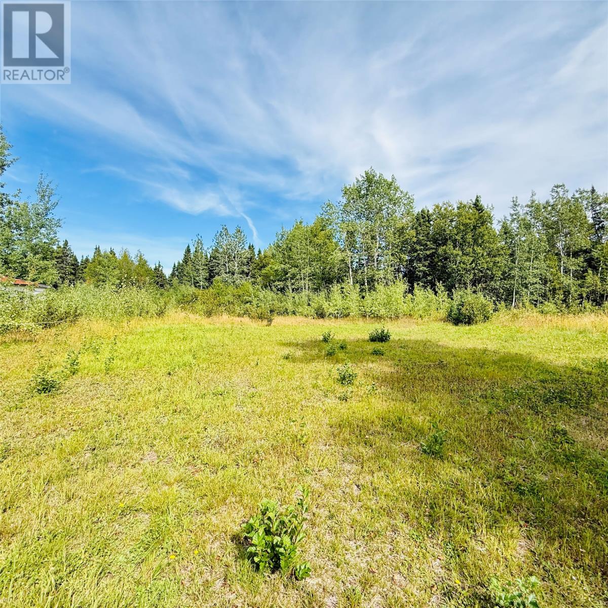 5 Burnt Berry Farm Road, Springdale, Newfoundland & Labrador   - Photo 9 - 1289102