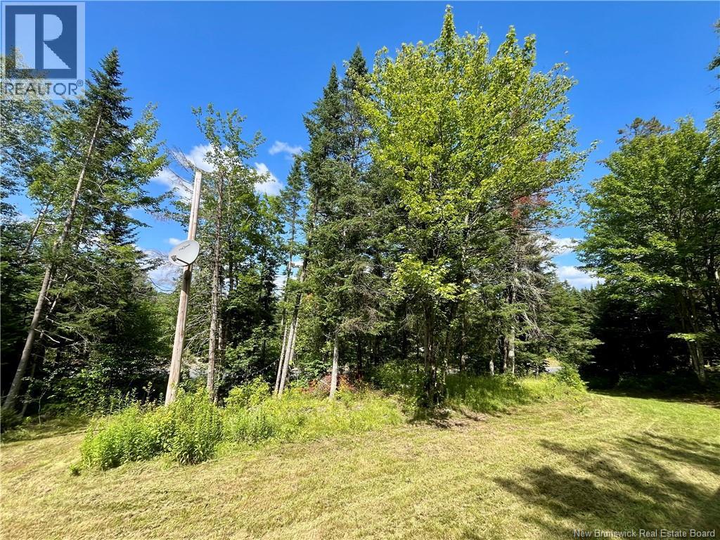 241 Route 107, Nashwaak Bridge, New Brunswick  E6C 2G3 - Photo 13 - NB128272