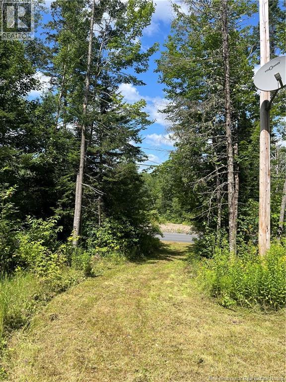 241 Route 107, Nashwaak Bridge, New Brunswick  E6C 2G3 - Photo 17 - NB128272