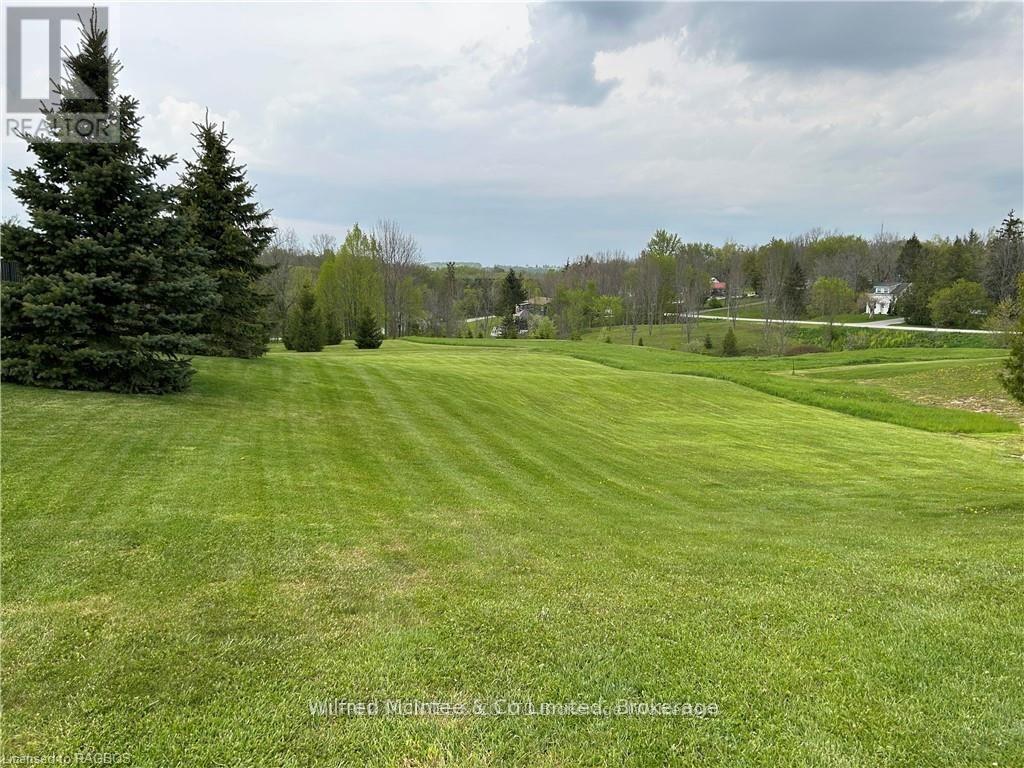 Pt Lt 11 Balaklava Street, Arran-Elderslie, Ontario  N0G 2N0 - Photo 2 - X12448648