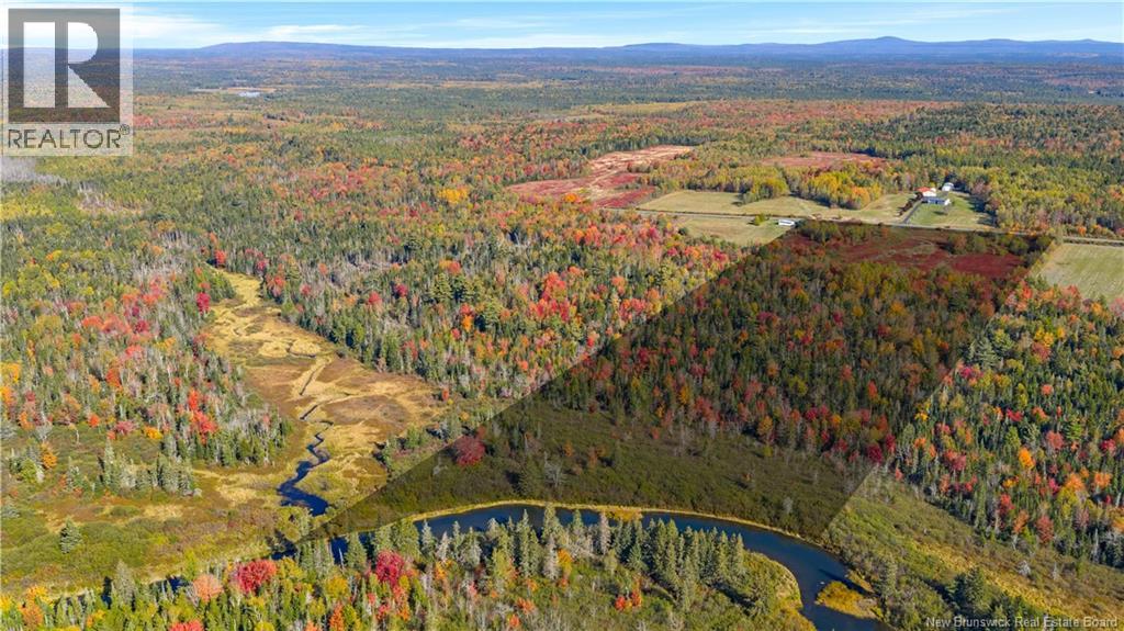 Digdeguash River Lot 760 Route, Johnson Settlement, New Brunswick  E5A 1R9 - Photo 6 - NB124095