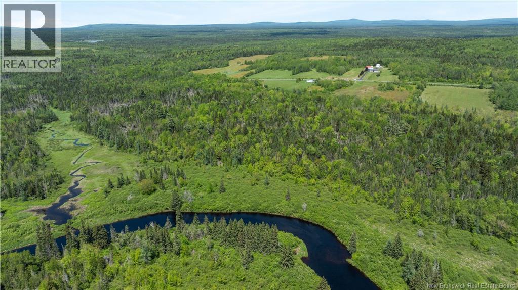 Digdeguash River Lot 760 Route, Johnson Settlement, New Brunswick  E5A 1R9 - Photo 27 - NB124095
