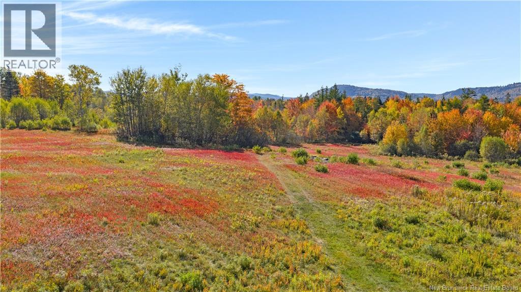 Digdeguash River Lot 760 Route, Johnson Settlement, New Brunswick  E5A 1R9 - Photo 15 - NB124095