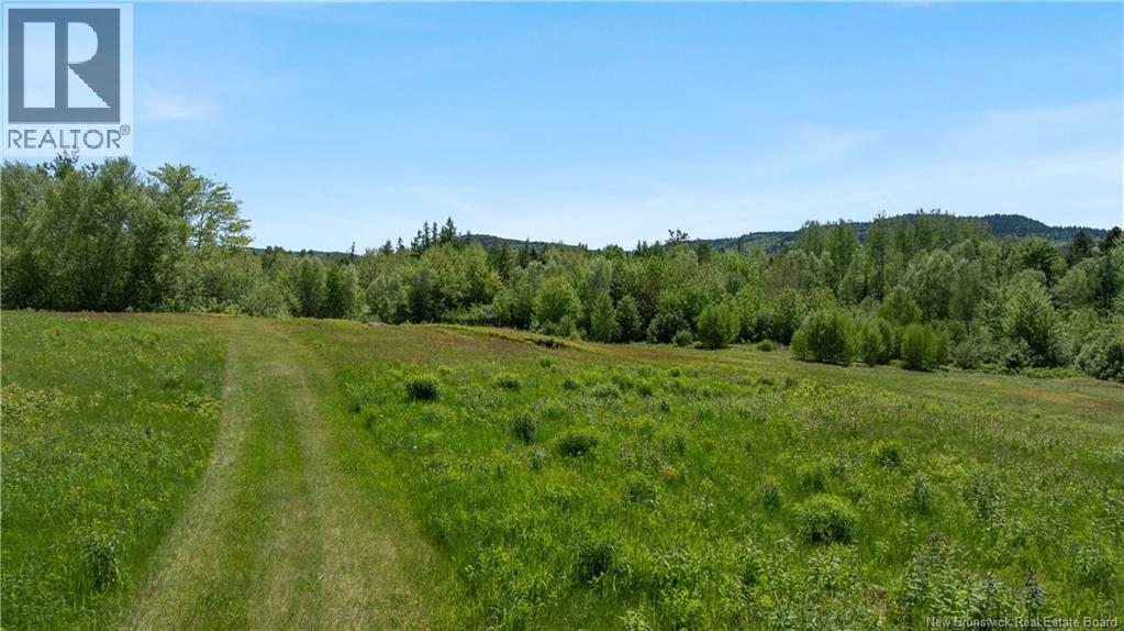 Digdeguash River Lot 760 Route, Johnson Settlement, New Brunswick  E5A 1R9 - Photo 33 - NB124095