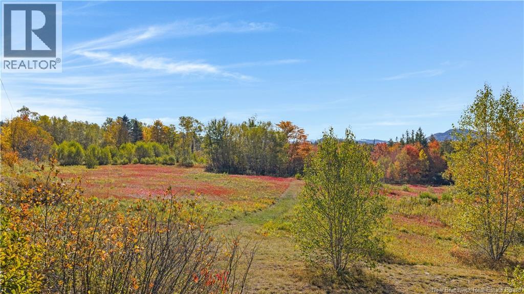 Digdeguash River Lot 760 Route, Johnson Settlement, New Brunswick  E5A 1R9 - Photo 19 - NB124095