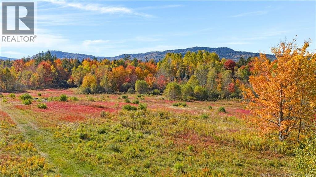 Digdeguash River Lot 760 Route, Johnson Settlement, New Brunswick  E5A 1R9 - Photo 20 - NB124095