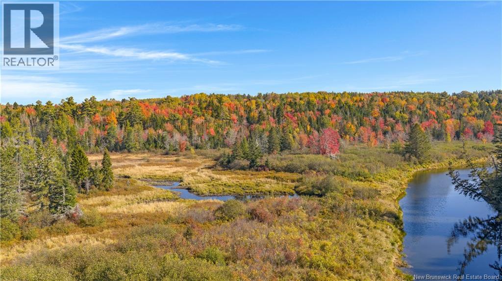 Digdeguash River Lot 760 Route, Johnson Settlement, New Brunswick  E5A 1R9 - Photo 13 - NB124095