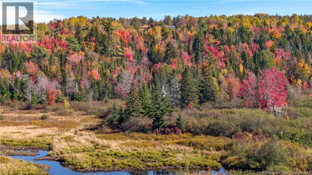 Digdeguash River Lot 760 Route, Johnson Settlement, New Brunswick  E5A 1R9 - Photo 5 - NB124095