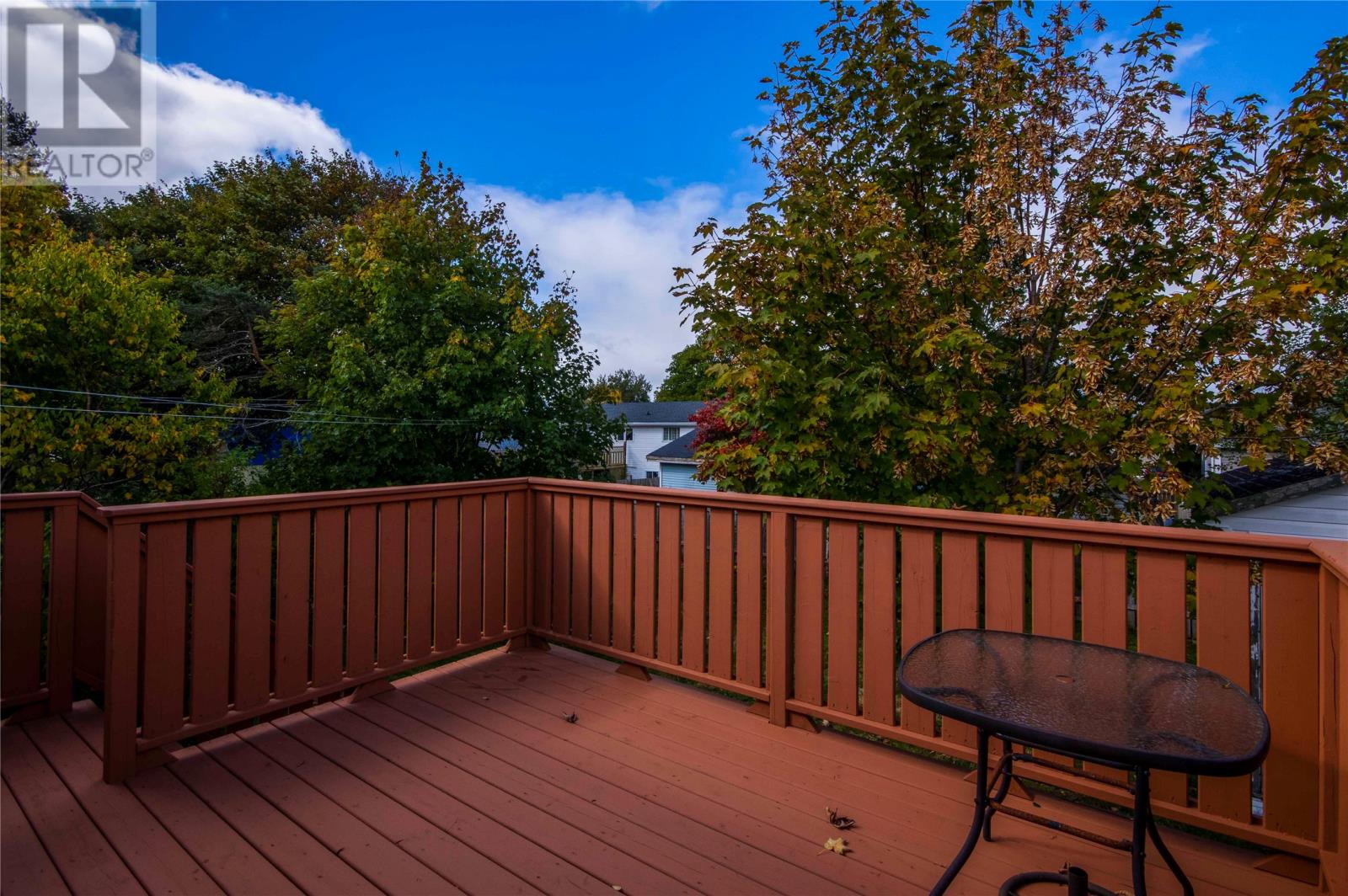 29 Tweedsmuir Place, Mount Pearl, Newfoundland & Labrador  A1N 2L8 - Photo 23 - 1291284