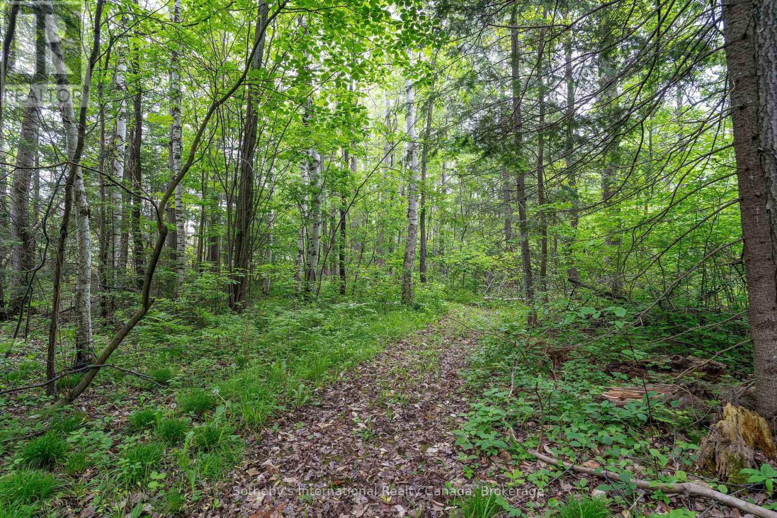 397061 5th Line, Melancthon, Ontario  L0N 1S9 - Photo 40 - X12453599