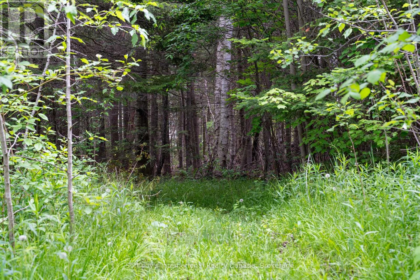 397061 5th Line, Melancthon, Ontario  L0N 1S9 - Photo 42 - X12453599