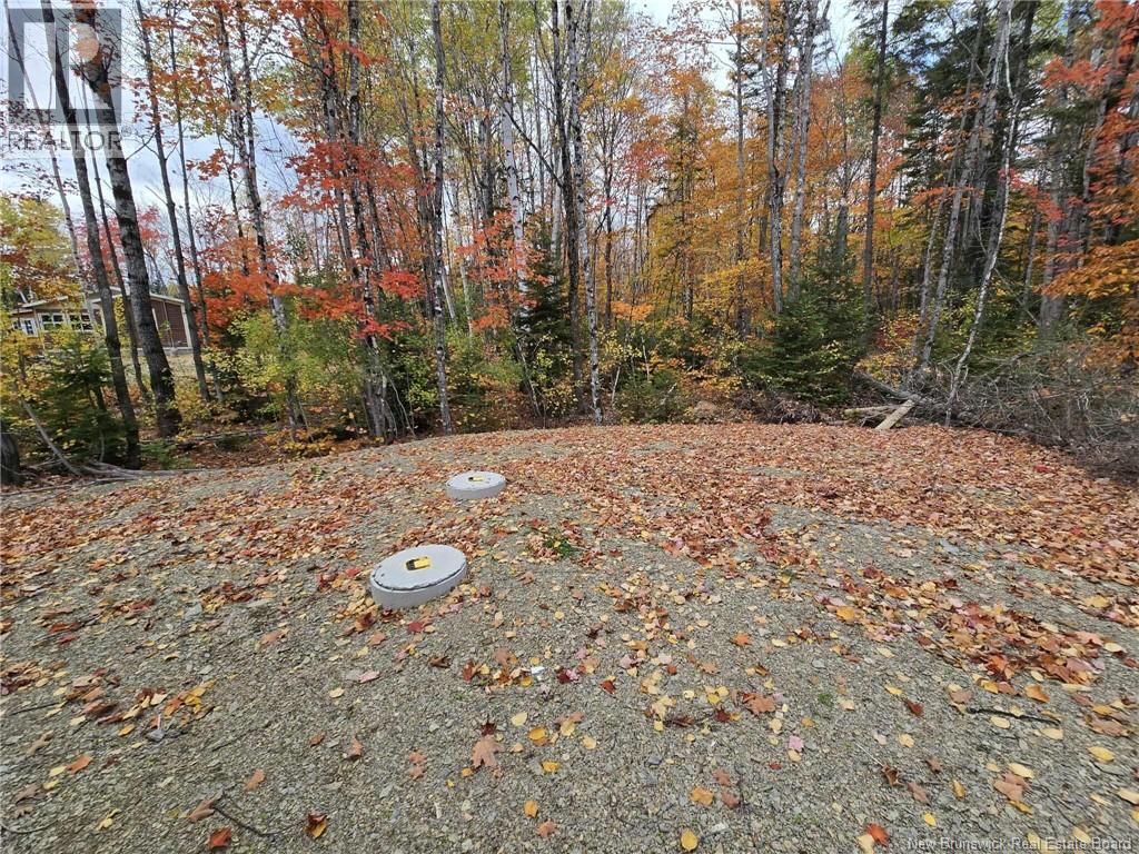 N/a Sormany Road, Sormany, New Brunswick  E8K 1Y5 - Photo 17 - NB128269