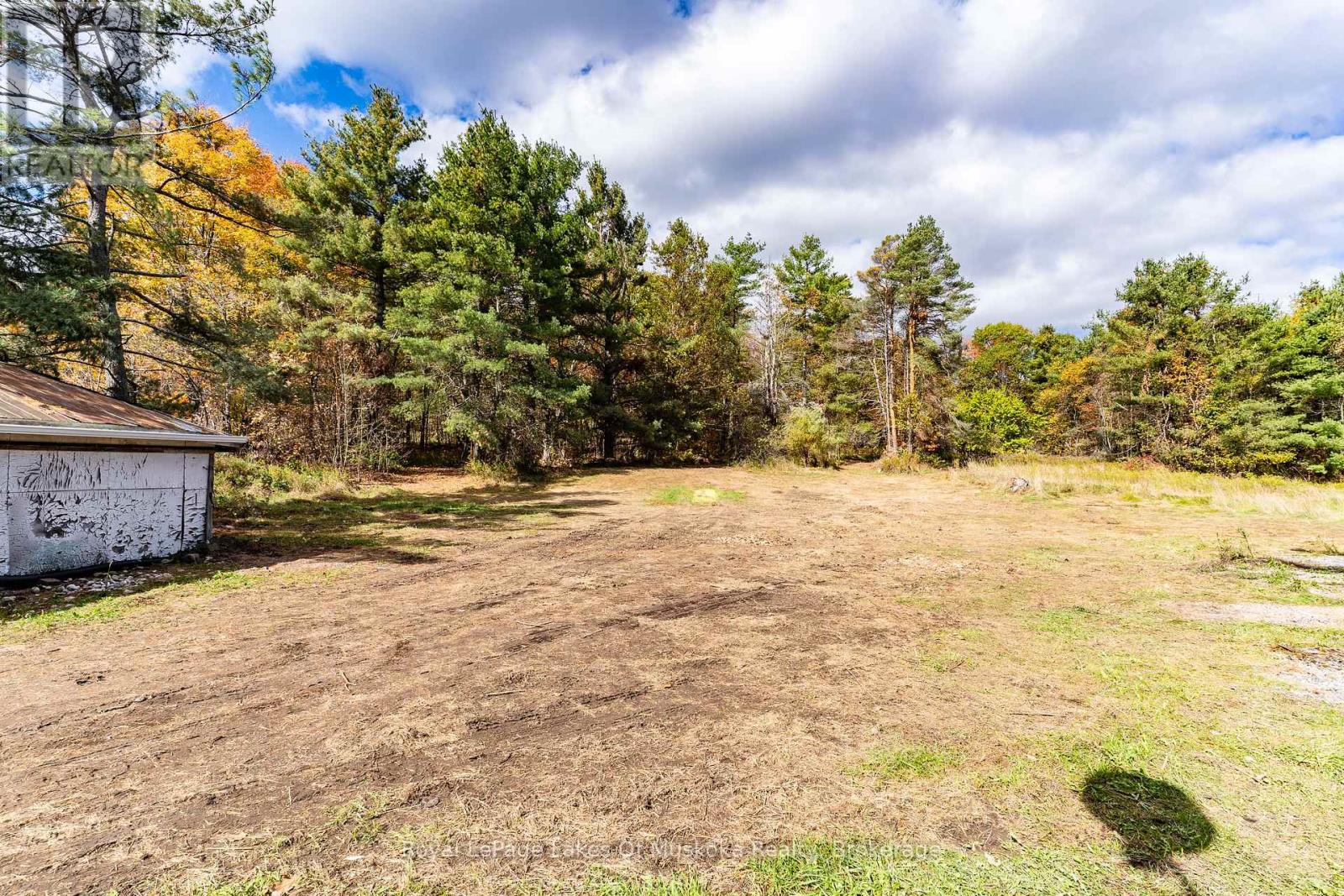 1015 Hewlitt Road, Muskoka Lakes (Monck (Muskoka Lakes)), Ontario  P1L 0J4 - Photo 4 - X12453677