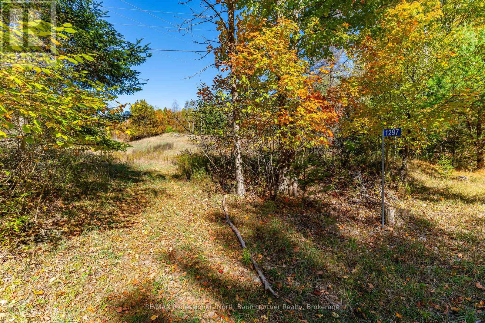 1297 Bethel Road, Minden Hills (Minden), Ontario  K0M 2K0 - Photo 2 - X12453903