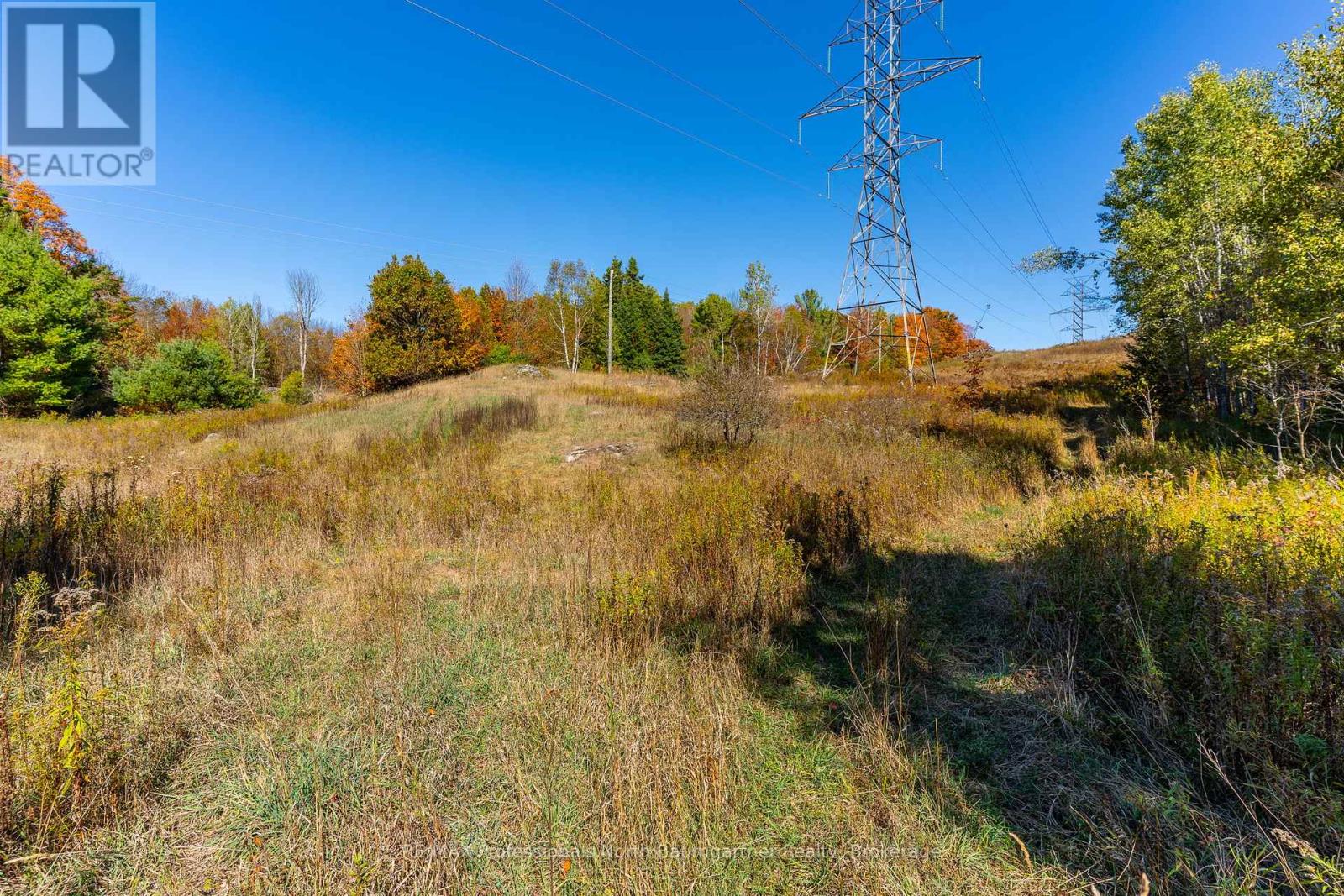 1297 Bethel Road, Minden Hills (Minden), Ontario  K0M 2K0 - Photo 4 - X12453903
