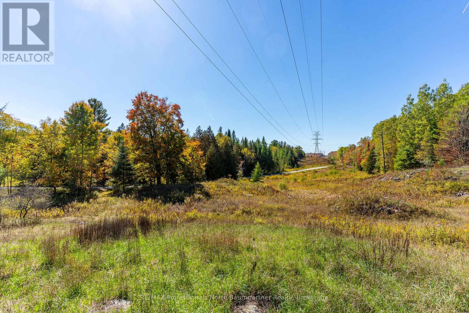 1297 Bethel Road, Minden Hills (Minden), Ontario  K0M 2K0 - Photo 5 - X12453903