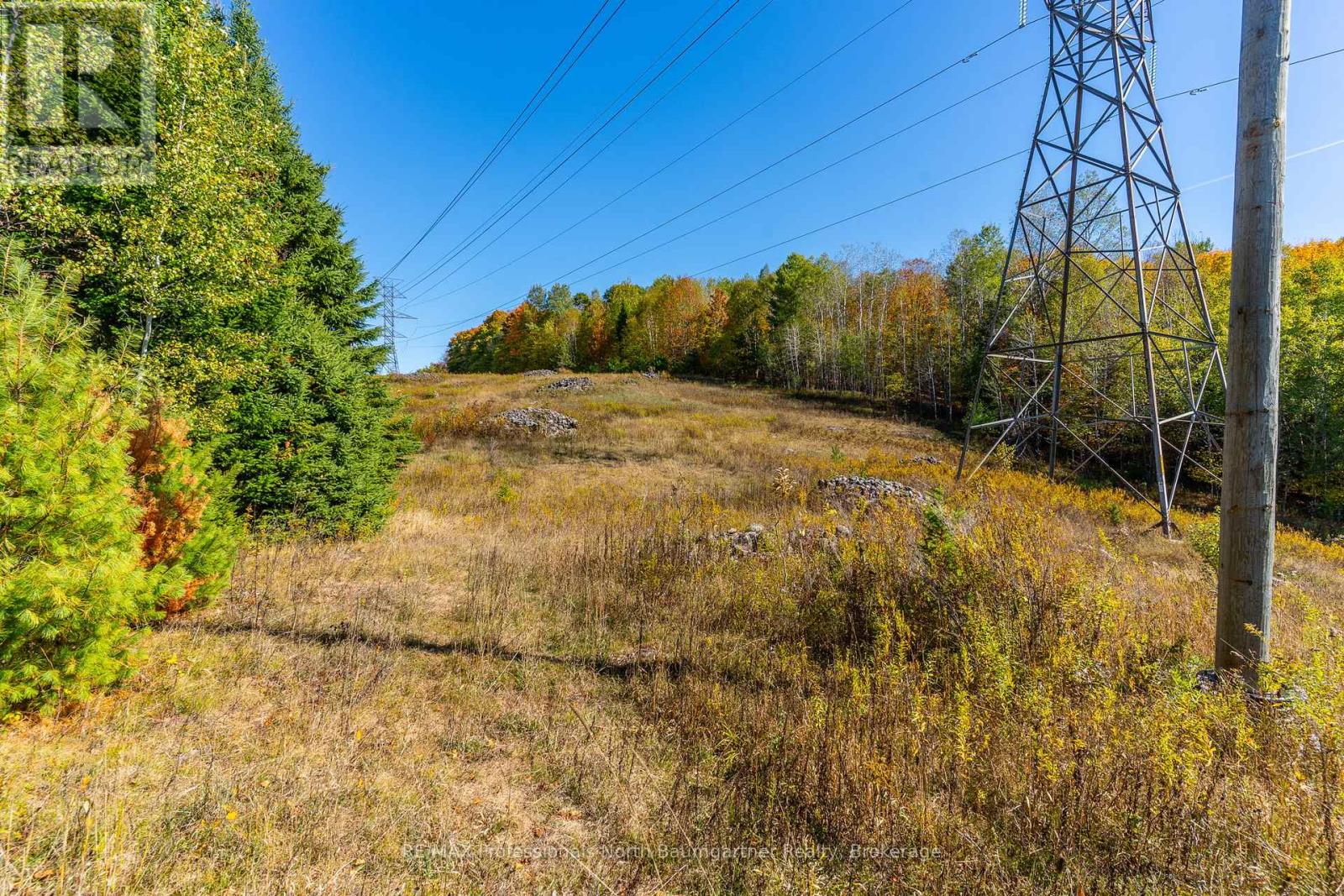 1297 Bethel Road, Minden Hills (Minden), Ontario  K0M 2K0 - Photo 6 - X12453903