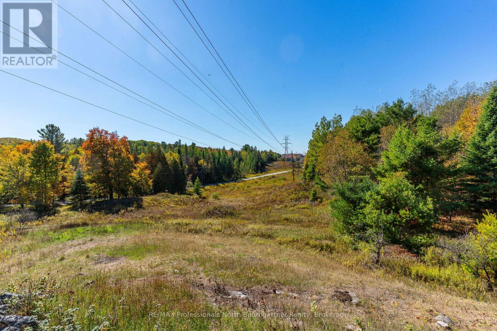 1297 Bethel Road, Minden Hills (Minden), Ontario  K0M 2K0 - Photo 7 - X12453903