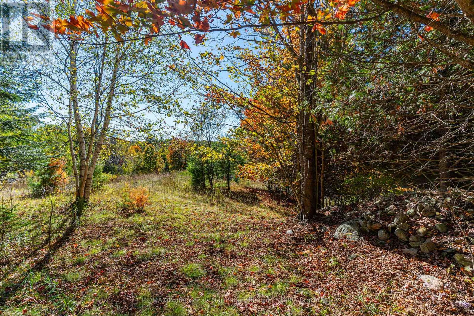 1297 Bethel Road, Minden Hills (Minden), Ontario  K0M 2K0 - Photo 8 - X12453903