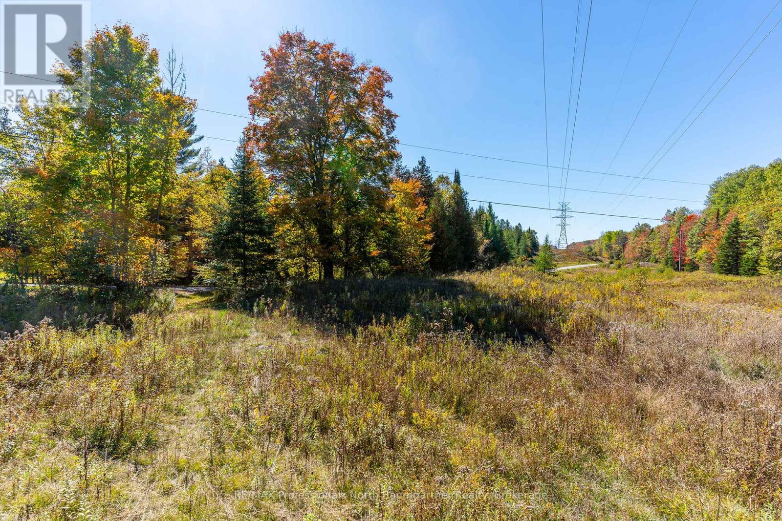 1297 Bethel Road, Minden Hills (Minden), Ontario  K0M 2K0 - Photo 9 - X12453903