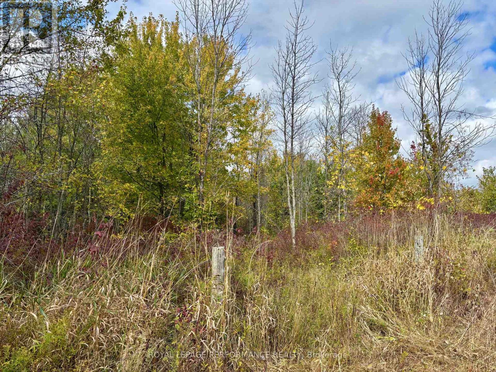 0 Pt Lt 8 South Shore Road, Frontenac Islands, Ontario  K0H 2S0 - Photo 24 - X12453911