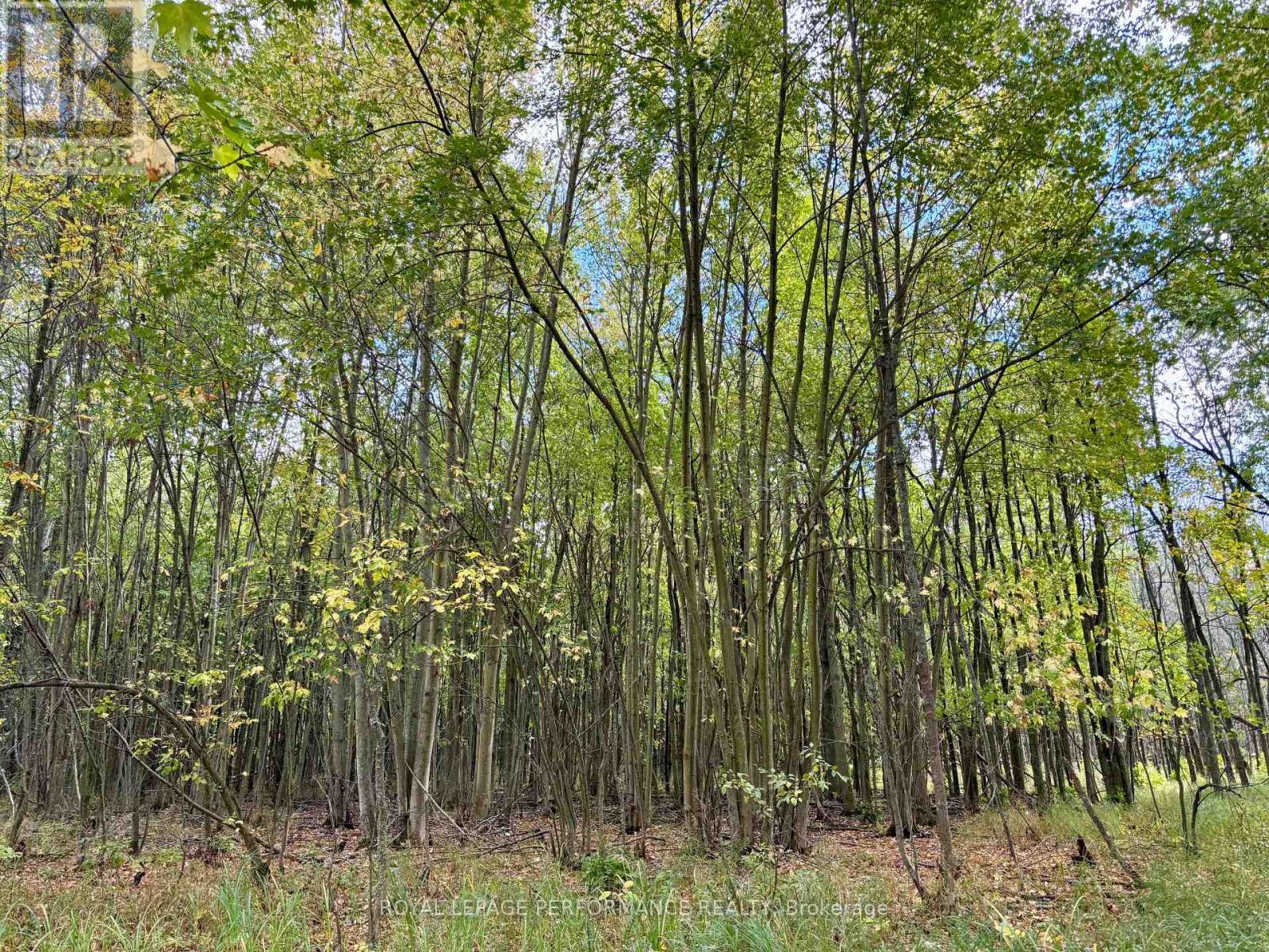 0 Pt Lt 8 South Shore Road, Frontenac Islands, Ontario  K0H 2S0 - Photo 25 - X12453911