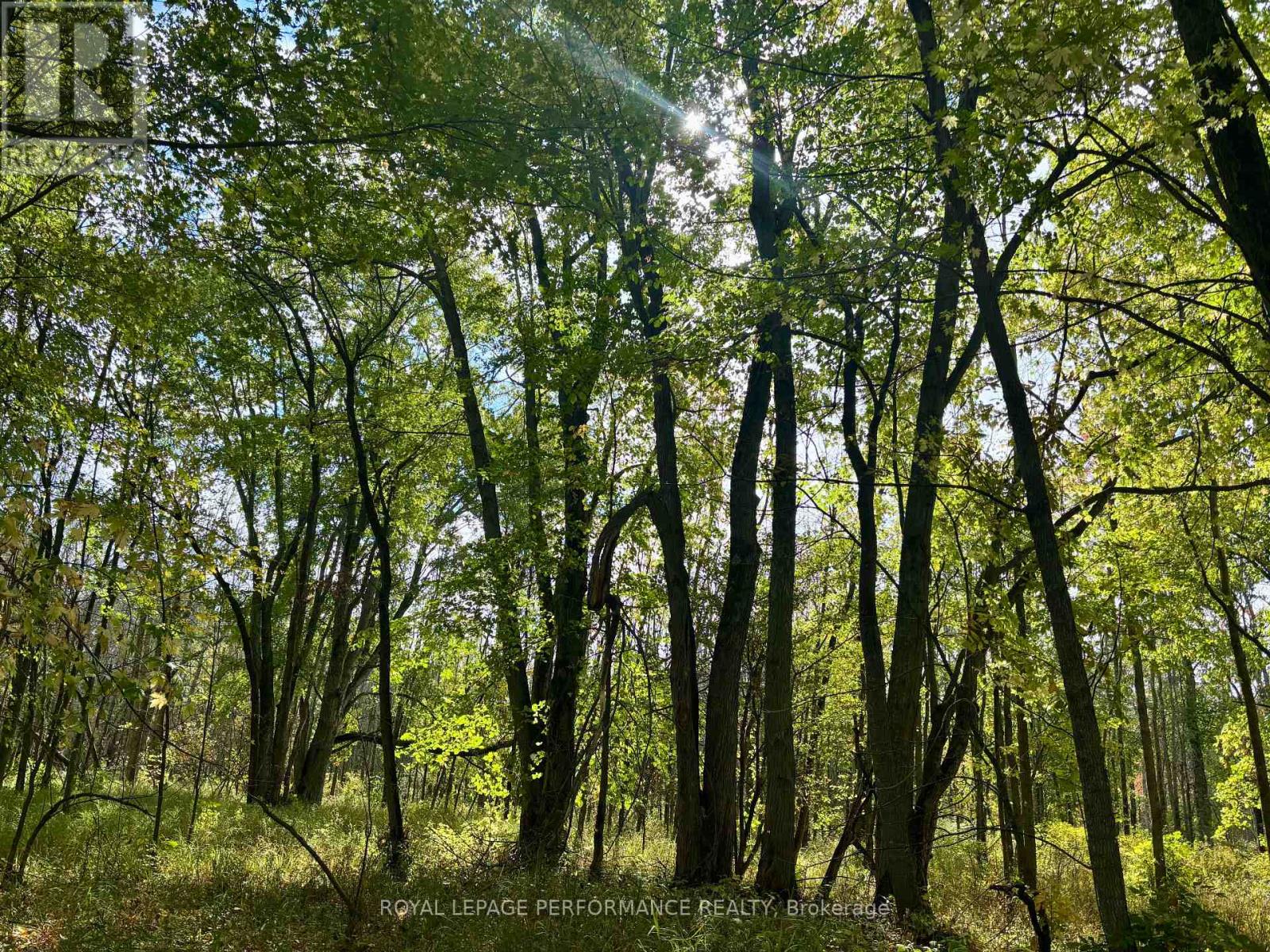 0 Pt Lt 8 South Shore Road, Frontenac Islands, Ontario  K0H 2S0 - Photo 26 - X12453911
