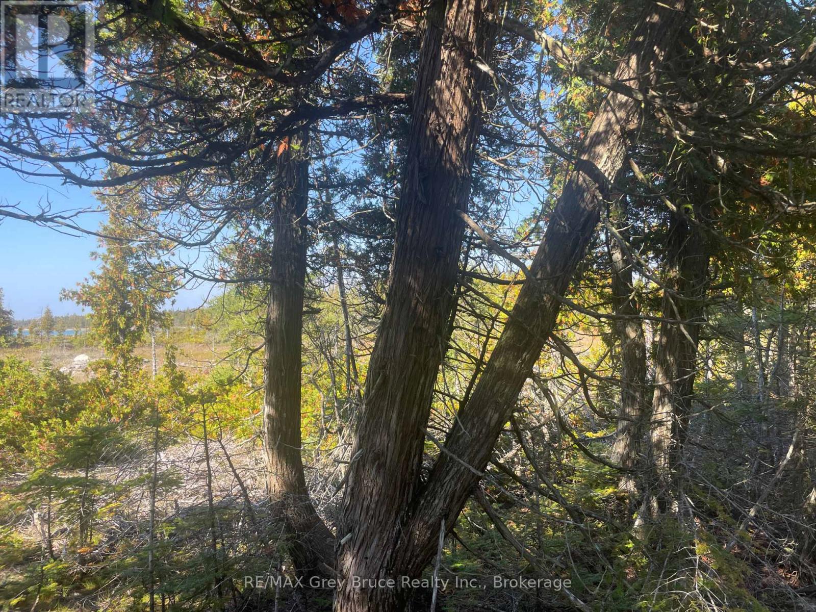 23 Pedwell Drive, Northern Bruce Peninsula, Ontario  N0H 2R0 - Photo 20 - X12440334