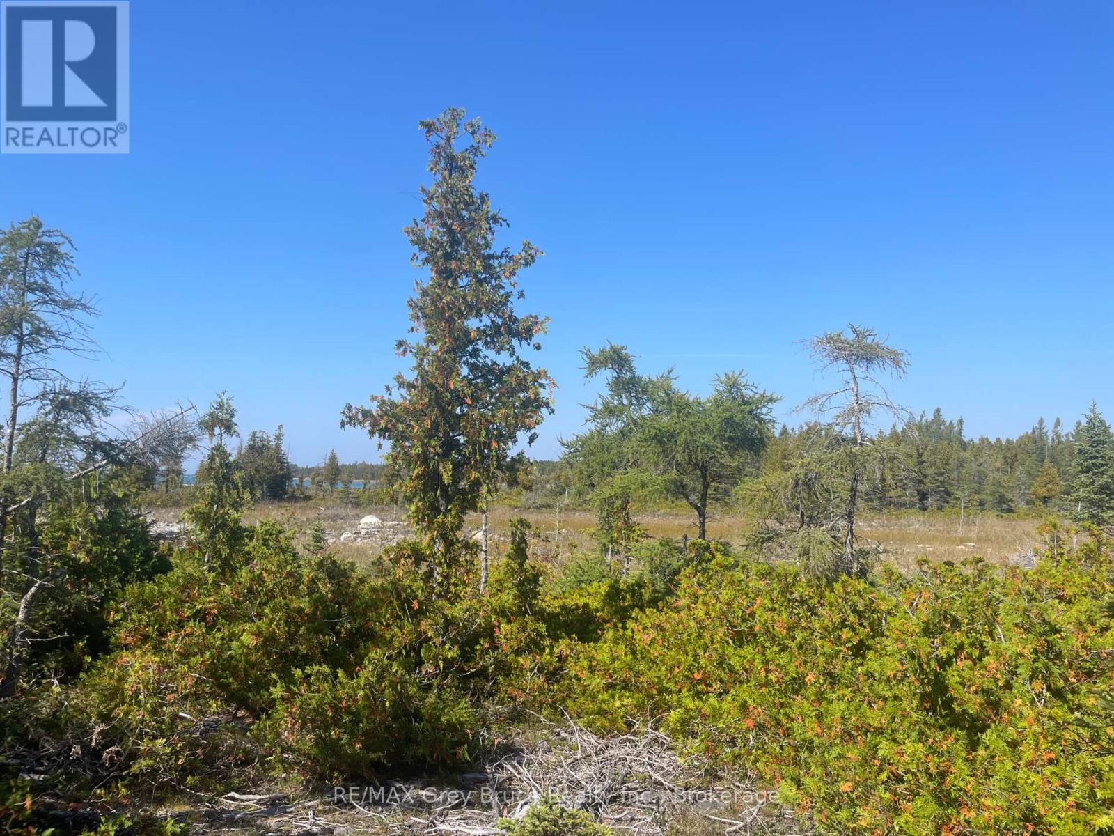 23 Pedwell Drive, Northern Bruce Peninsula, Ontario  N0H 2R0 - Photo 21 - X12440334