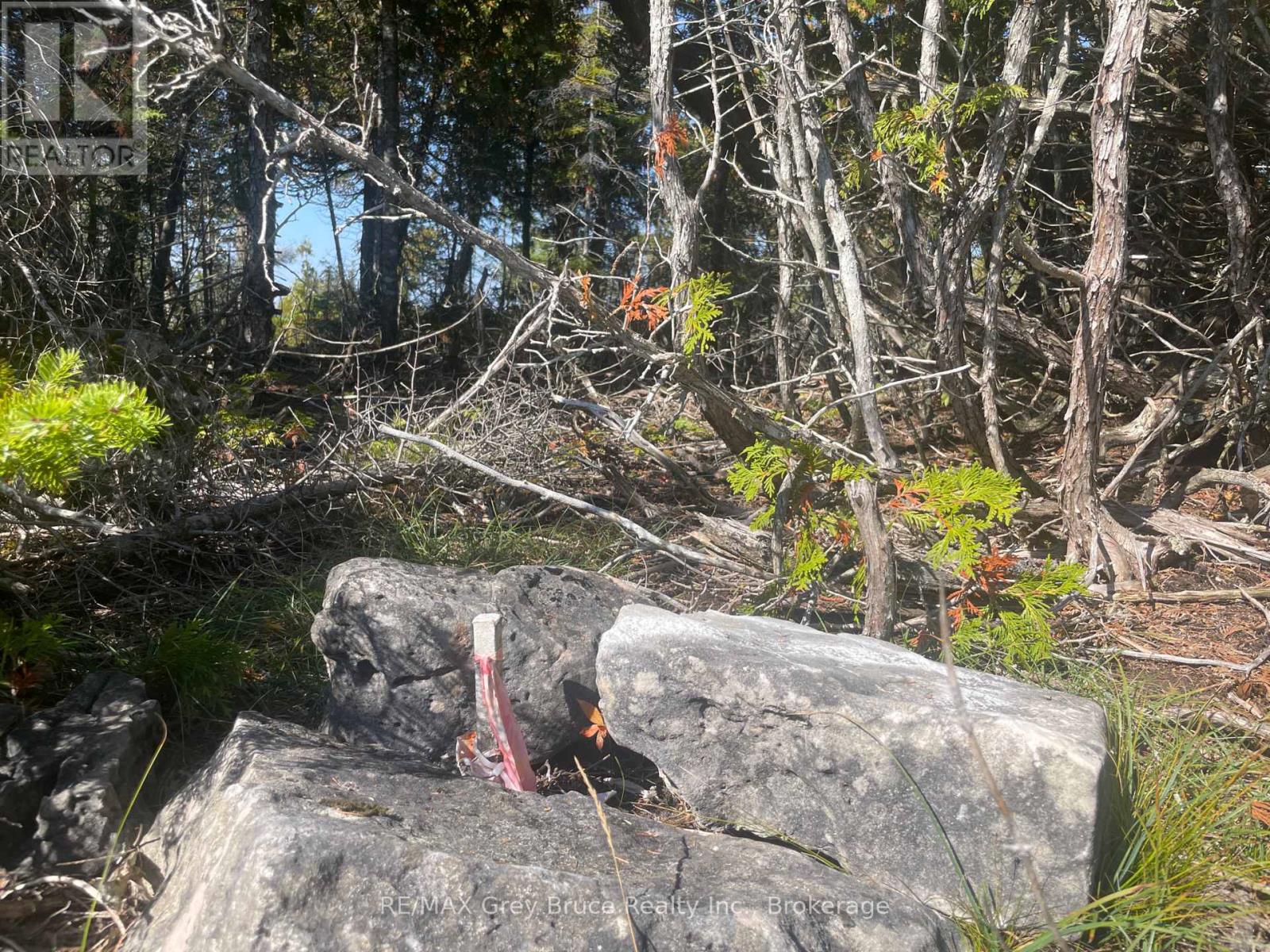 23 Pedwell Drive, Northern Bruce Peninsula, Ontario  N0H 2R0 - Photo 38 - X12440334