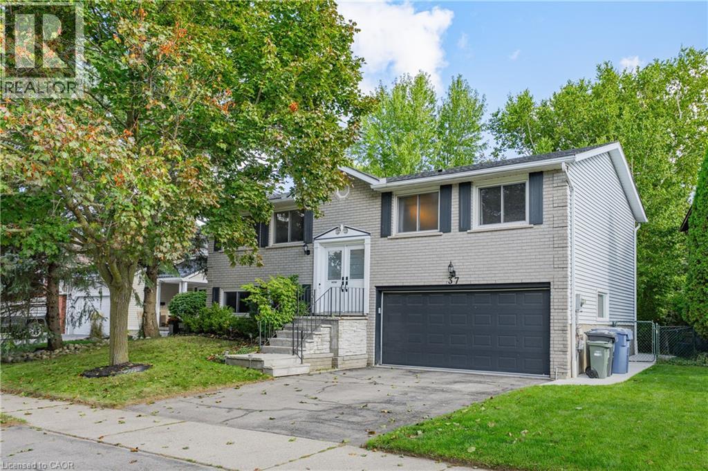 37 THORNHILL Drive, Guelph, Ontario