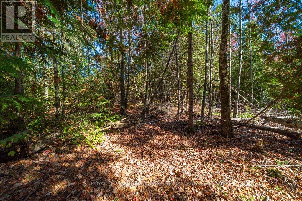 525 Skootamatta Lake Road, Frontenac (Frontenac North), Ontario  K0H 1K0 - Photo 38 - X12453940