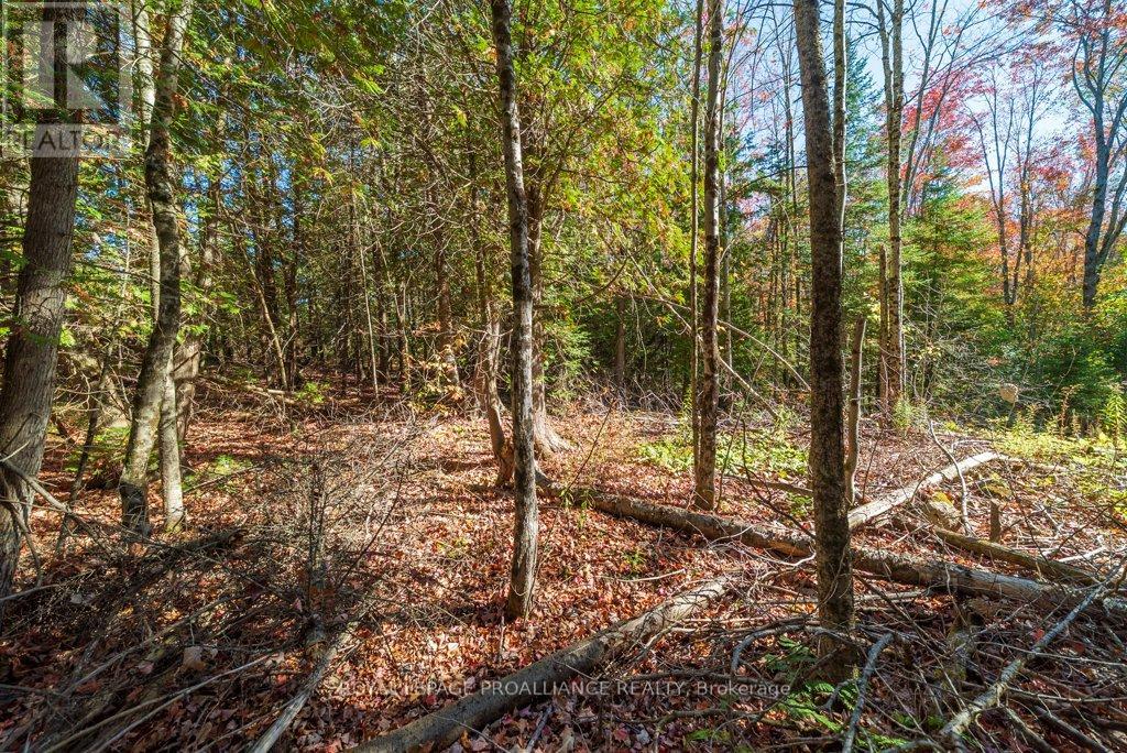 525 Skootamatta Lake Road, Frontenac (Frontenac North), Ontario  K0H 1K0 - Photo 40 - X12453940