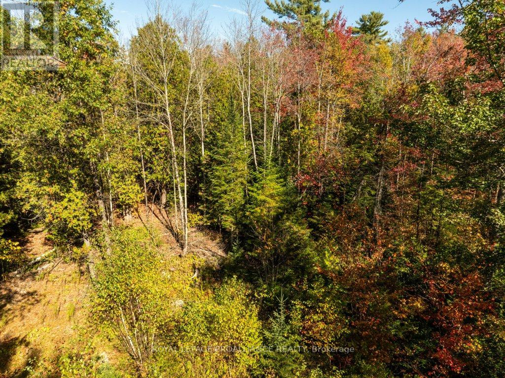 525 Skootamatta Lake Road, Frontenac (Frontenac North), Ontario  K0H 1K0 - Photo 46 - X12453940
