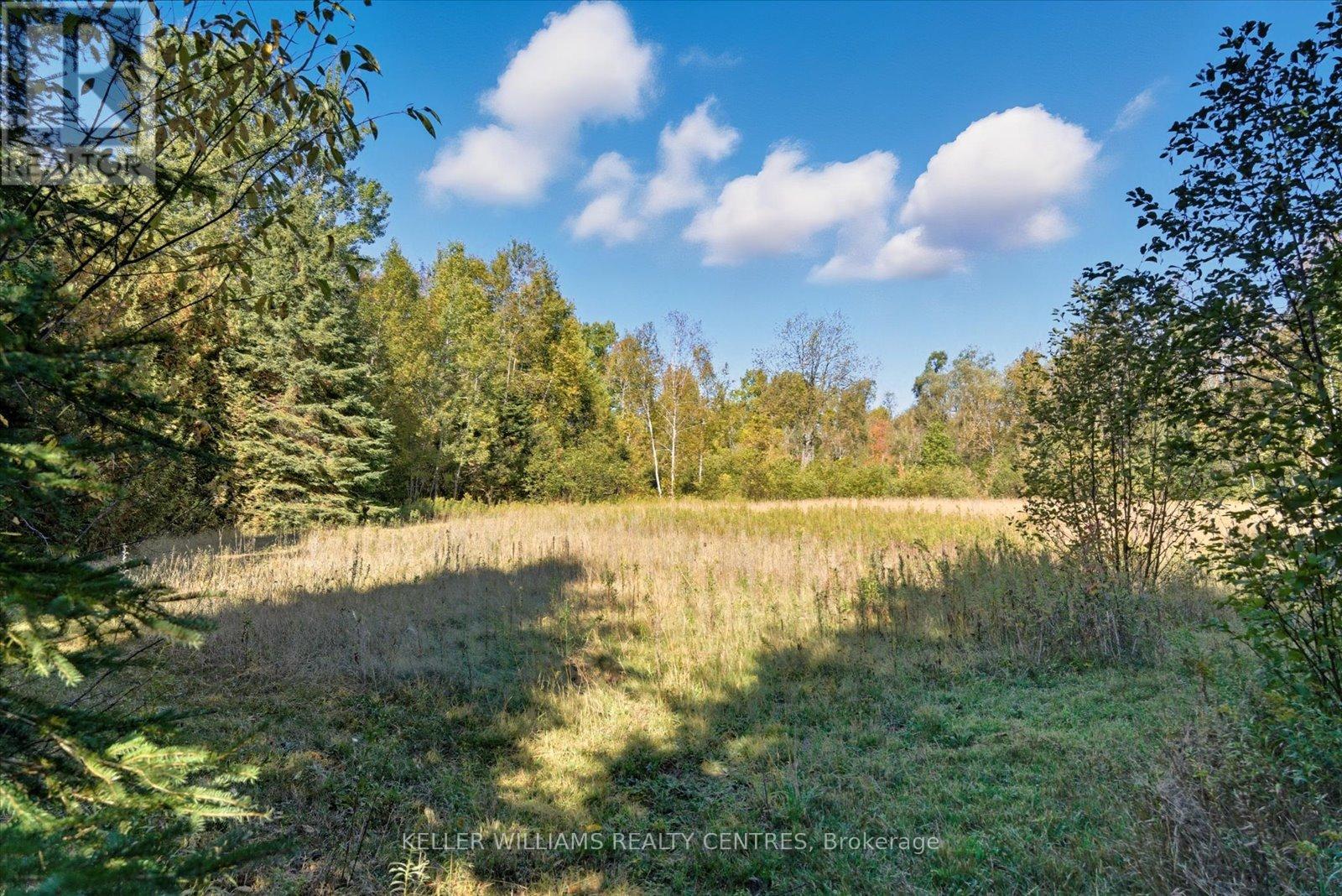 11601 Concession 3 Road, Uxbridge, Ontario  L9L 1R1 - Photo 50 - N12453914