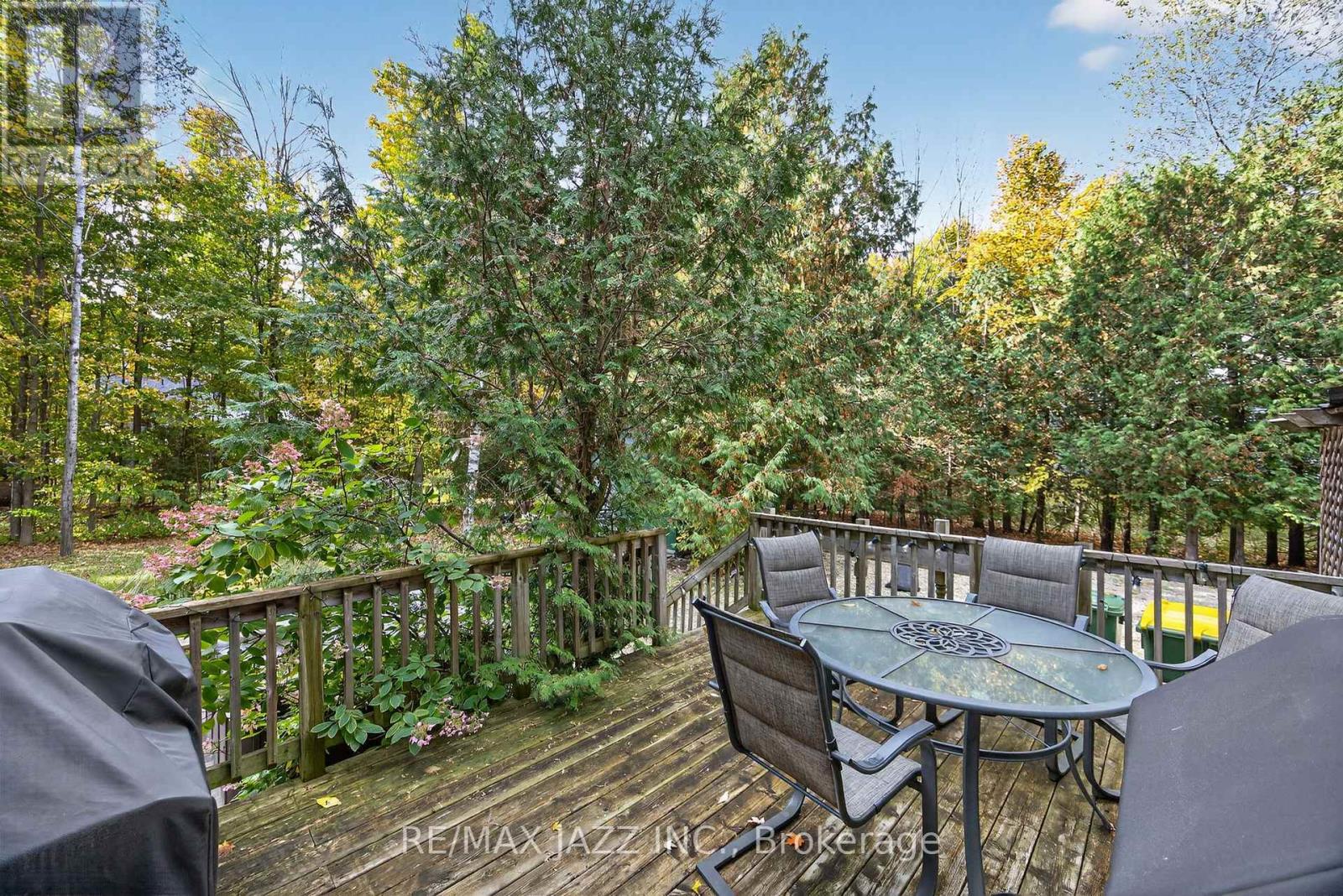 170 Raglan Street, Grey Highlands, Ontario  N0C 1E0 - Photo 24 - X12454066