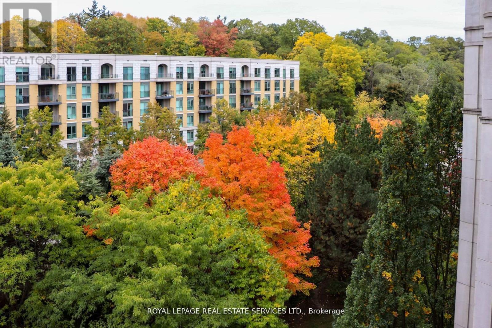 811 - 18 William Carson Crescent, Toronto, Ontario  M2P 2G6 - Photo 28 - C12382258
