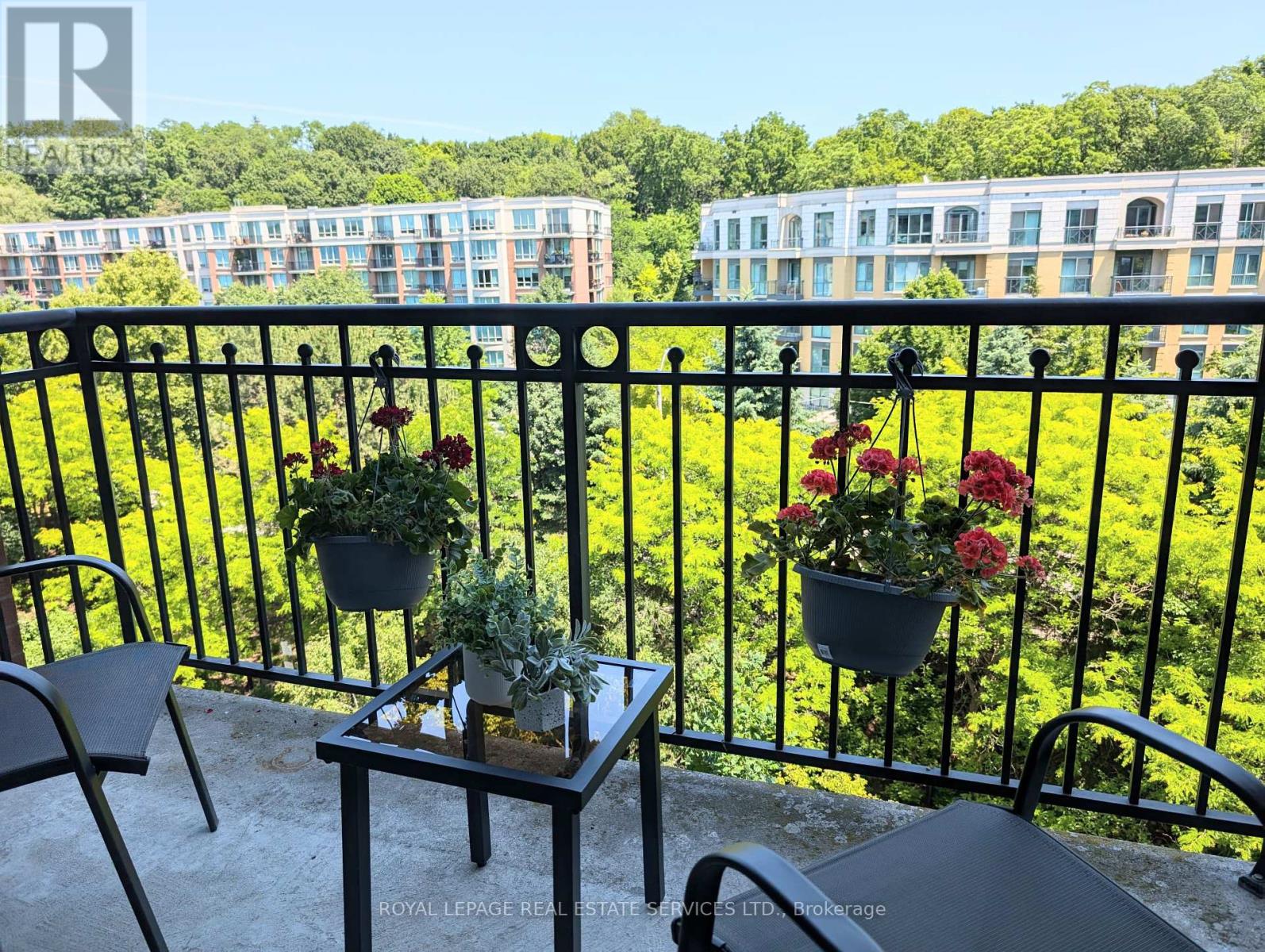 811 - 18 William Carson Crescent, Toronto, Ontario  M2P 2G6 - Photo 29 - C12382258
