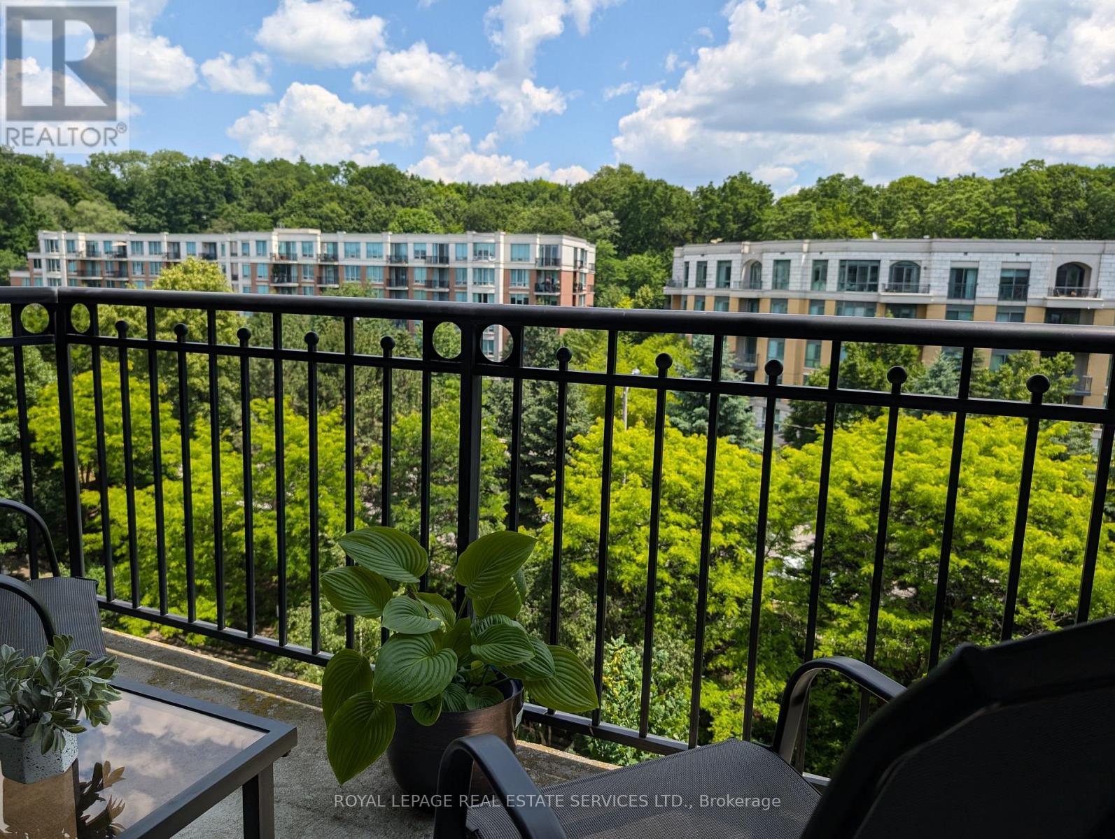 811 - 18 William Carson Crescent, Toronto, Ontario  M2P 2G6 - Photo 30 - C12382258