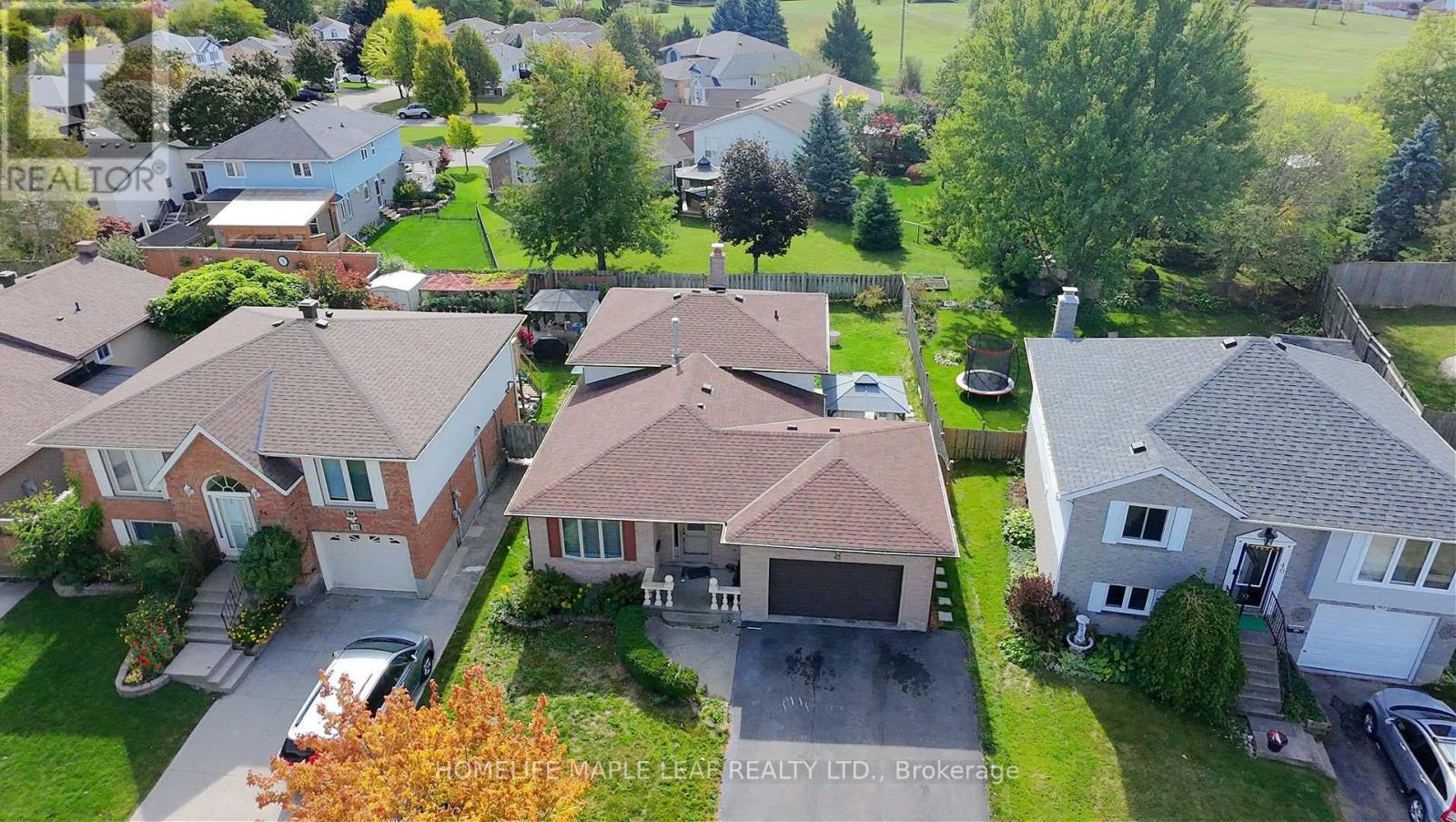 42 Newbury Drive, Kitchener, Ontario  N2N 2X6 - Photo 2 - X12453973