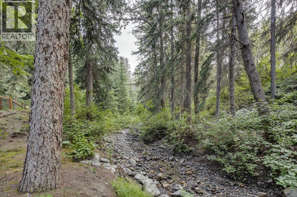 9 Mountaineer Close, Lac Des Arcs, Alberta  T1W 2W3 - Photo 49 - A2261290