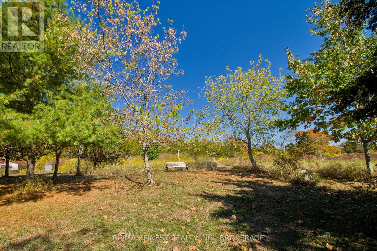 8300 Front Road, Loyalist (Lennox And Addington - South), Ontario  K0H 2S0 - Photo 11 - X12454167