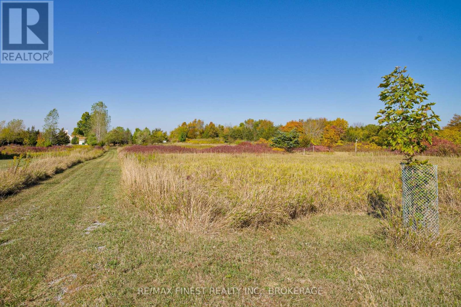 8300 Front Road, Loyalist (Lennox And Addington - South), Ontario  K0H 2S0 - Photo 39 - X12454167