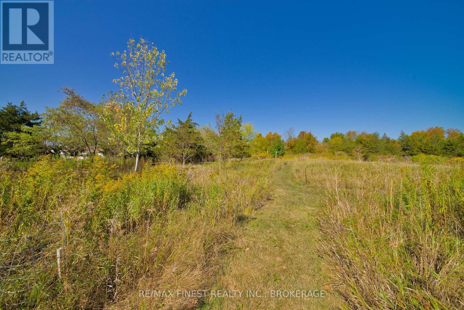 8300 Front Road, Loyalist (Lennox And Addington - South), Ontario  K0H 2S0 - Photo 6 - X12454167