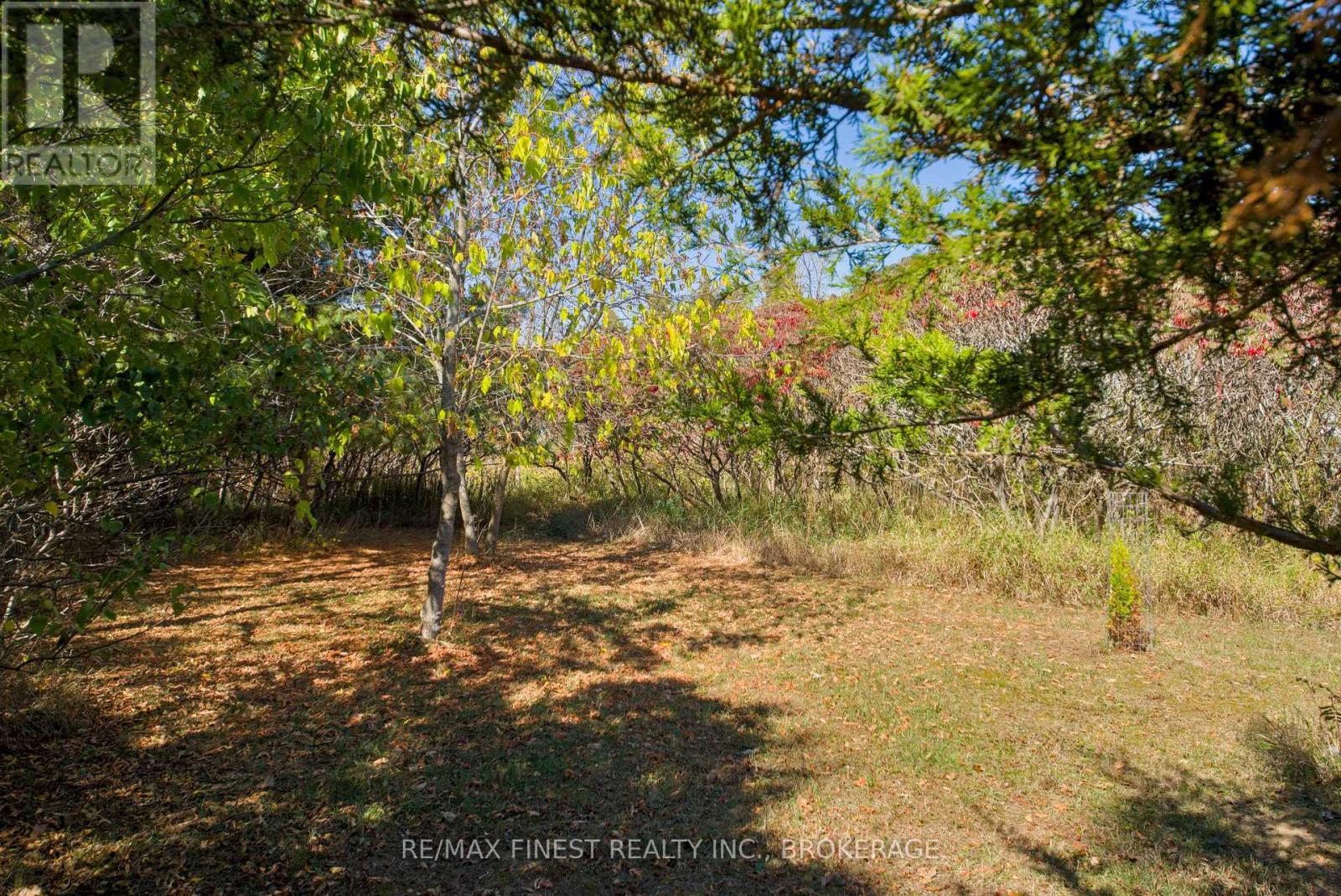 8300 Front Road, Loyalist (Lennox And Addington - South), Ontario  K0H 2S0 - Photo 44 - X12454167