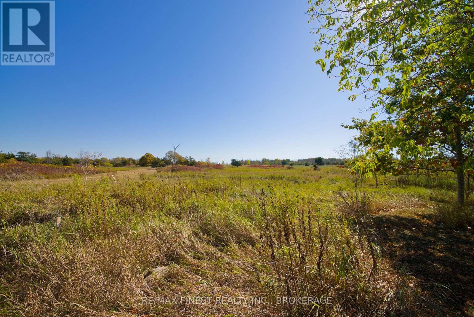 8300 Front Road, Loyalist (Lennox And Addington - South), Ontario  K0H 2S0 - Photo 7 - X12454167