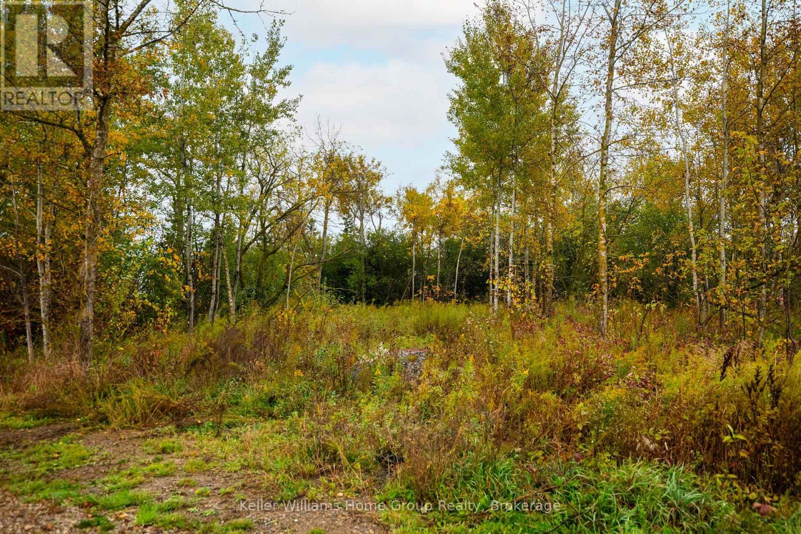 244274 5 Sideroad, Amaranth, Ontario  L9W 0W2 - Photo 36 - X12454228