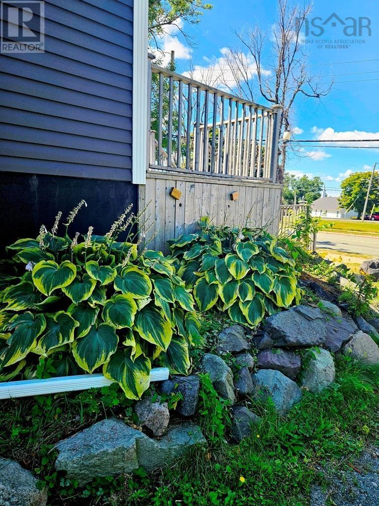 366 Whitney Avenue, Sydney, Nova Scotia  B1P 5A7 - Photo 40 - 202521660