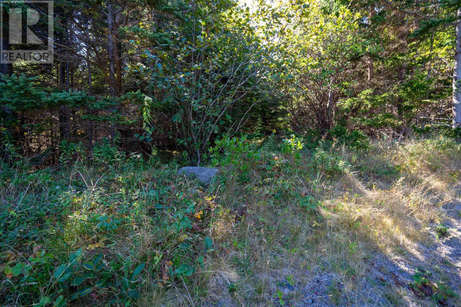 Bay Of Fundy Land, Tiverton, Nova Scotia  B0V 1G0 - Photo 17 - 202524971