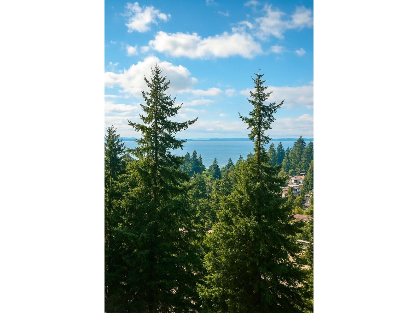 1203 15152 Russell Avenue, White Rock, British Columbia  V4B 0A3 - Photo 27 - R3056158